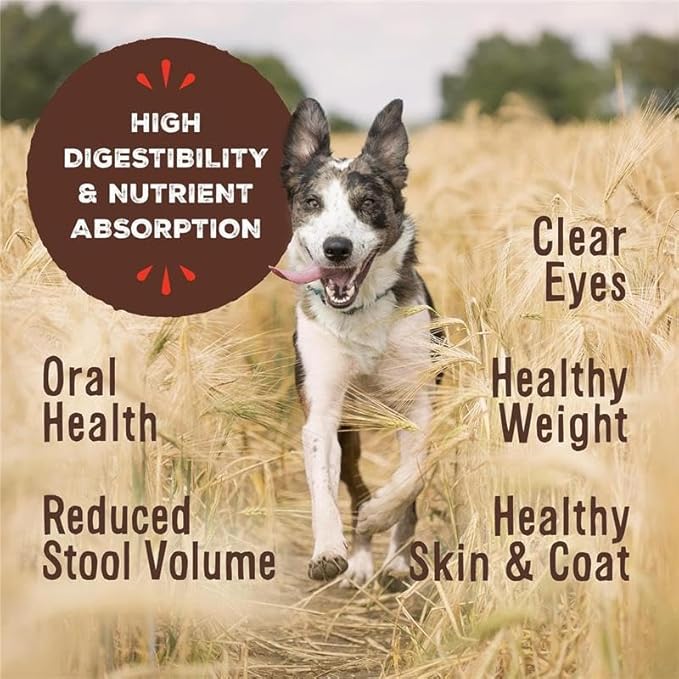 Primal Freeze Dried Raw Dog Food Nuggets, Pork, Complete & Balanced Meal, Also Use as Topper or Treat, Premium, Healthy, Grain Free, High Protein Raw Dog Food, 14 oz (Pack of 4)
