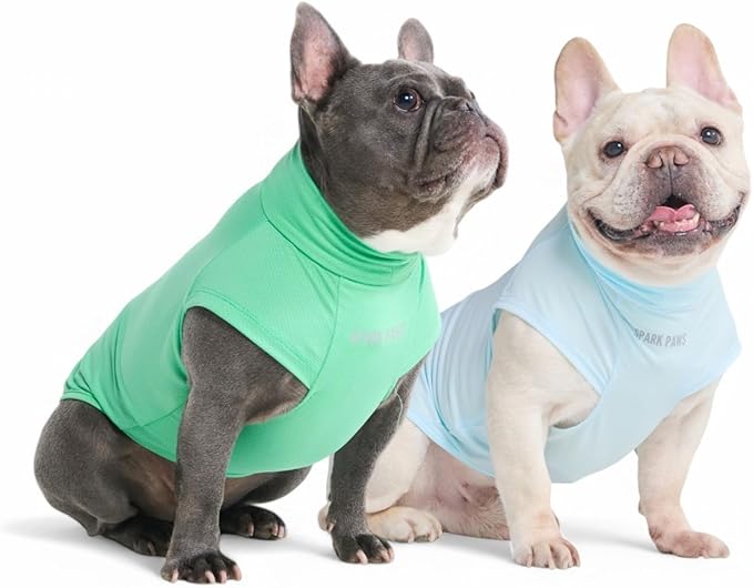 Spark Paws Sunblock Dog T-Shirt, SPF30 Protection, Lightweight Breathable Quick Dry for Dogs with Sensitive Skin - Blue & Mint (Set of 2) - L
