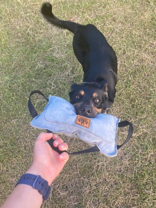 EQ K9 Leather Dog Tug Toy with 3 Handles, Durable Bite Pillow for Medium to Large Dogs, for Dog Training, Tug of War, K9 Training, Crufts, Agility, Bite Tug, Pull Toy, Schutzhund, KNPV, Mondio Ring