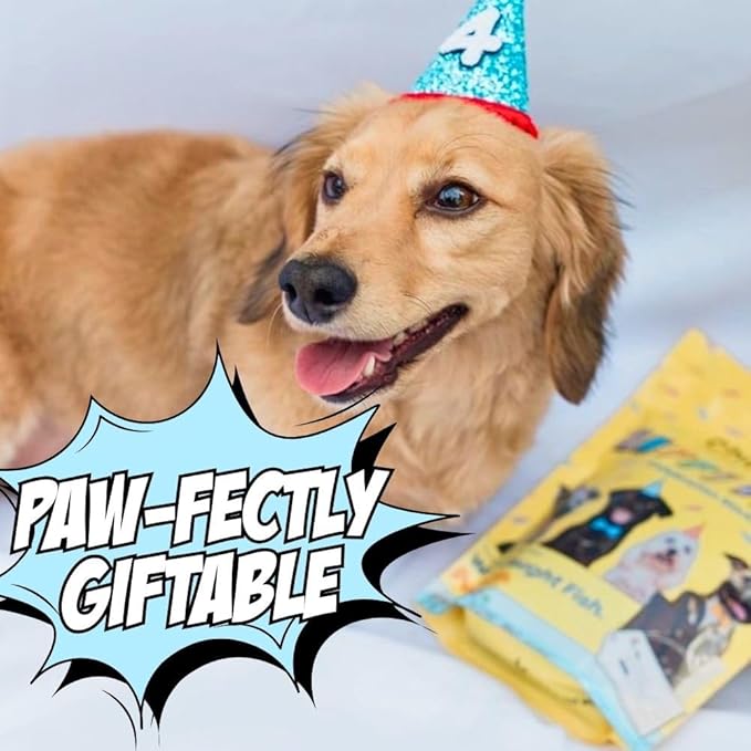 Chippin Giftable Soft Dog Treat | Wild-Caught Fish & Pumpkin Jerky for Dogs | Dog Birthday, Adoption, No Chicken, Grain-Free, Hypoallergenic | Made in USA, 4-Pack