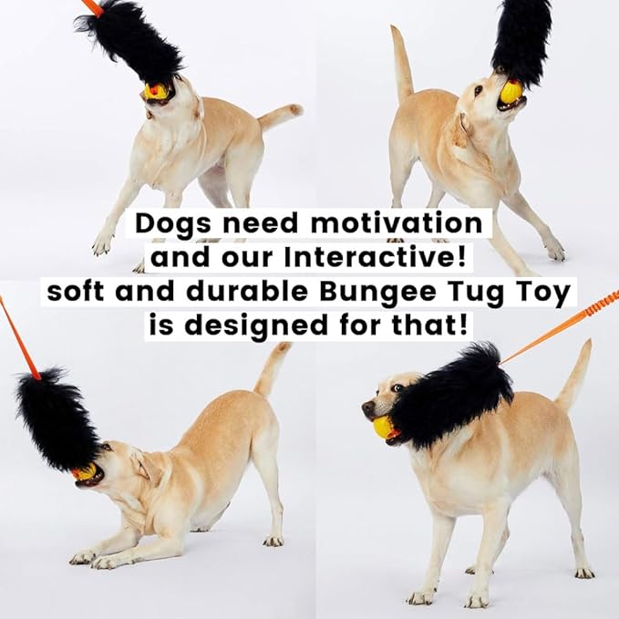 HOWGO Dog Rope Toy,Dog Bungee Chaser Toy 100% Sheepskin,Sheep Smell Tug Toy for All Breeds (Black, Long Without Ball)