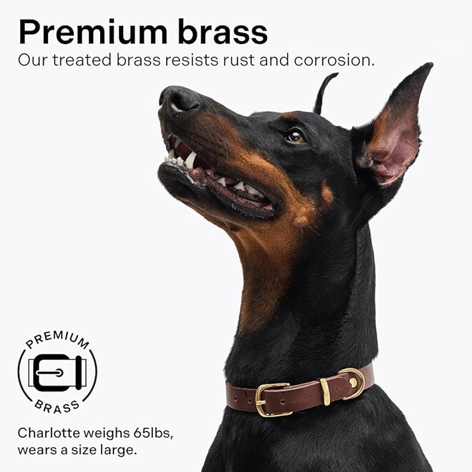 Classic Genuine Leather Dog Collar | Dog Collars for Medium Dogs, Small Dogs, Large Dogs & Extra Large Dog | Wide Dog Collar | Heavy Duty Dog Collar | Dark Brown (S: 0.8" Wide for 10.5"-13.5" Neck)