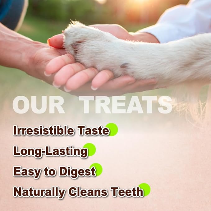AFreschi Turkey Tendons for Dogs, USA-Sourced, Healthy Dog Treats, Rawhide-Free Puppy Chews, Long Lasting, All Natural, Hypoallergenic Dog Treats for Large Breeds, 2 Count Pack Bone (L)
