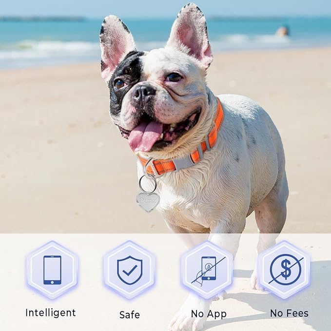 Dog Tags Personalized for Pets,Dog Name Tags QR Code,No Subscription Fees,Modifiable Pet Online Profile,Stainless Steel,No App Required,for Dogs and Cats Small,Medium,Large(Heart,Small)