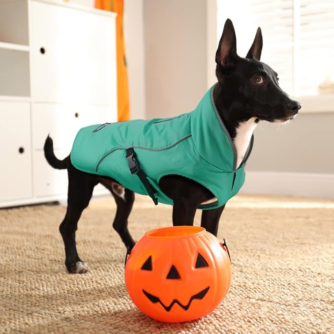 EMUST Dog Cold Weather Coats, Fleece Lining Small/Medium/Large Dog Jacket for Winter, Warm Waterproof Pet Winter Clothes for Large Dogs, Turquoise, XL