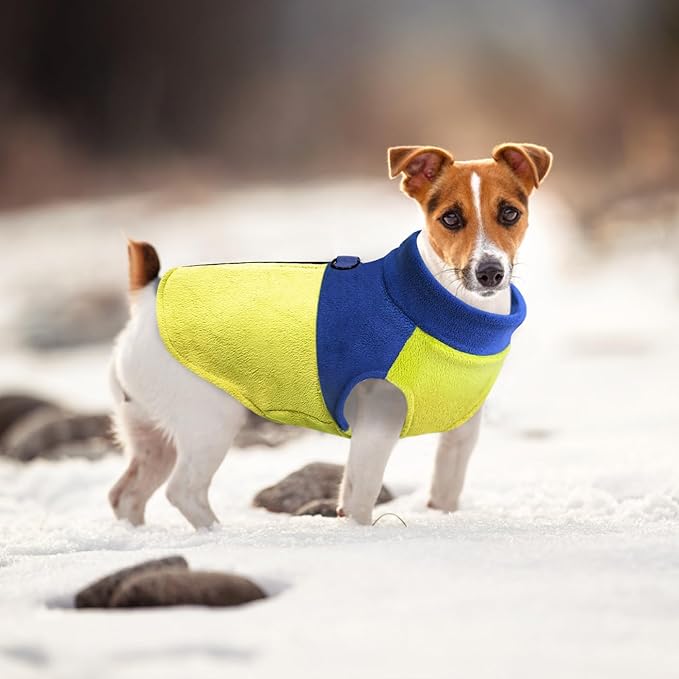 Idepet Dog Fleece Vest Sweater Zip Up Warm Pullover Dogs Jacket with D-Ring Leash Winter Cold Weater Coat Pet Sweatershirt Clothes Hoodie for Small Medium Dogs Boy Girl (Blue/Green, XXS)