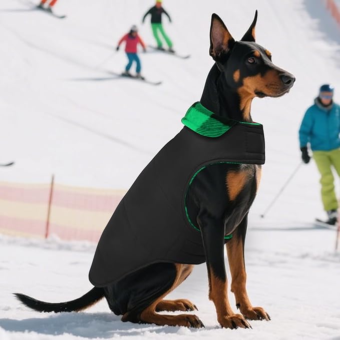 ASENKU Dog Winter Coat, Fleece Doggie Jacket Plaid Reversible Vest Waterproof Windproof Cold Weather Clothes for Small Medium Large Dogs (L, Green)