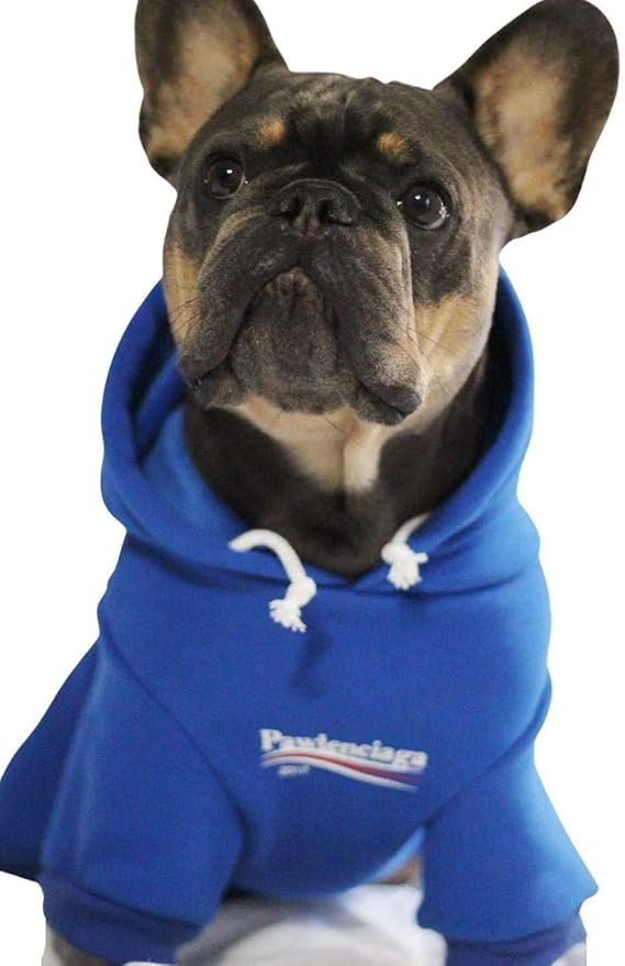 ChoChoCho Stylish Streetwear Blue Dog Sweatshirt Tracksuits, Cats Hoodies, Dog Outfit for Cat Puppy Small Medium (XL)