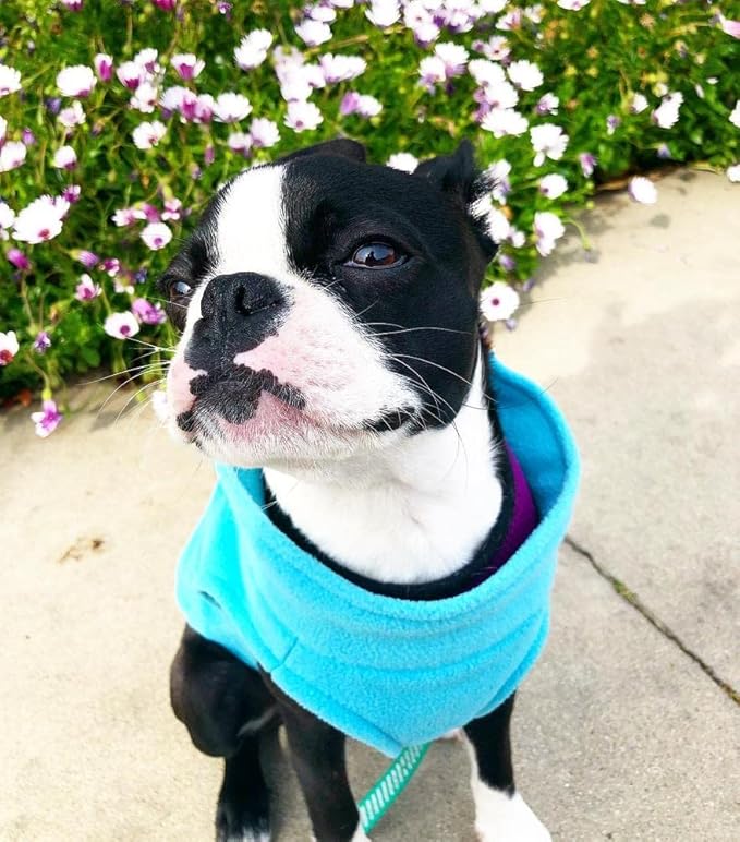 Gooby Stretch Fleece Vest Dog Sweater - Mint, Large - Warm Pullover Super Stretchy Fleece Dog Jacket for Small to Large Dogs