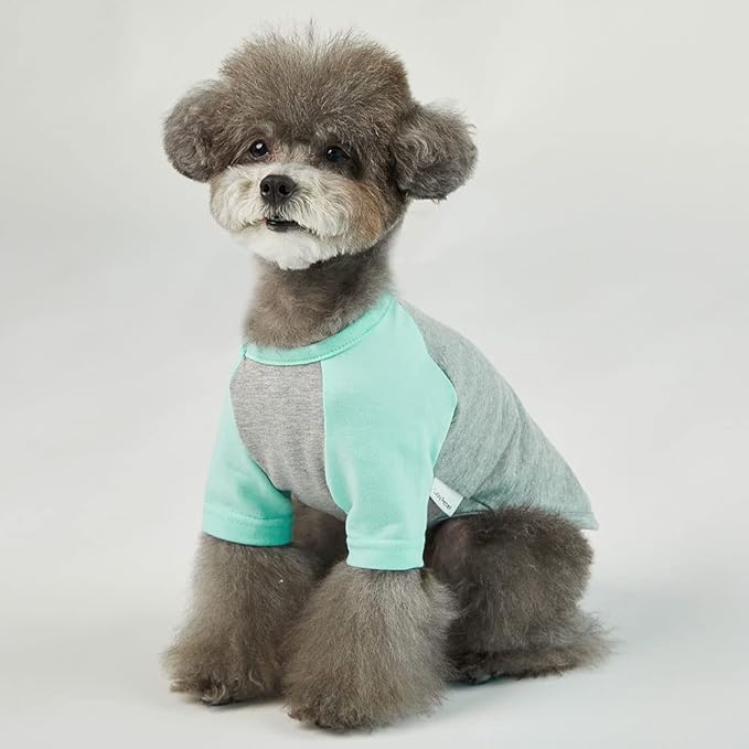 Dog Shirt for Small and Large Dogs, Cotton T-Shirt, Gray/Mint, Large