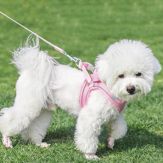 AIITLE Escape Proof Dog Harness - Step in Adjustable Dog Harness No Choke Over with Breathable Mesh for Summer- Outdoor Walking, Camping, Training for Medium Dogs Pure Pink XL