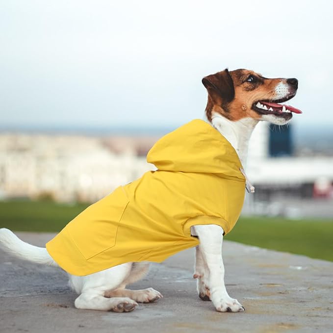 Dog Raincoat rain Jacket Dogs Waterproof fit for Small Medium Breeds Zipper Closure Pocket Storage in Cold Day - Yellow - XXL