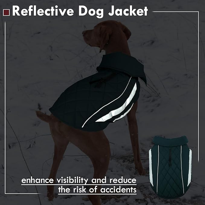 Dog Coats for Medium Dogs Waterproof Warm Winter Jacket with Leash Hole Reflective Turtleneck Fleece Snowsuit Hook & Loop Snow Jackets for Dogs, Green M