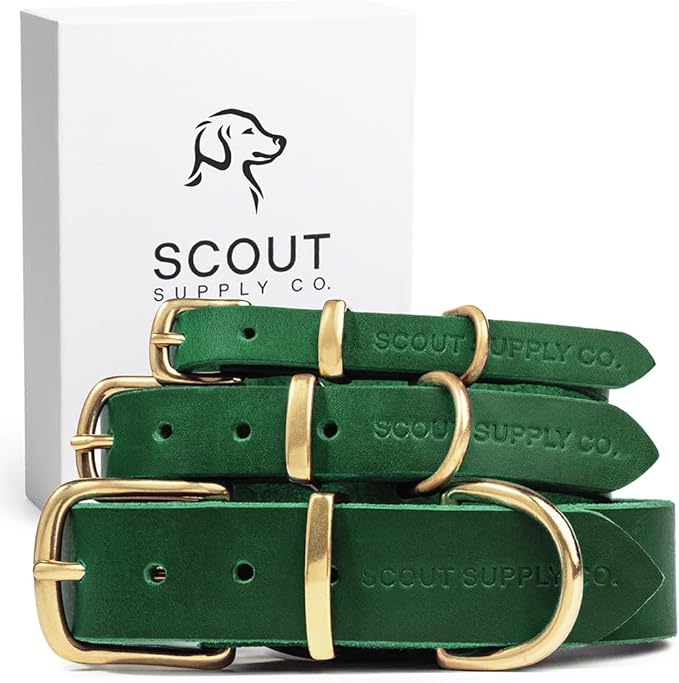 Classic Genuine Leather Dog Collar | Dog Collars for Medium Dogs, Small Dogs, Large Dogs & Extra Large Dog | Wide Dog Collar | Heavy Duty Dog Collar (Green, S: 0.5" Wide for 7.5"-10.5" Neck)
