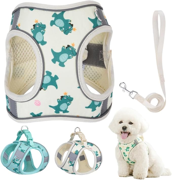 Step in Dog Harness and Leash Set, Flower Adjustable Easy Walk Puppy Harnesses, Soft Mesh No Pull Pet Vest Harness for Small Medium Dogs(Beige, M)