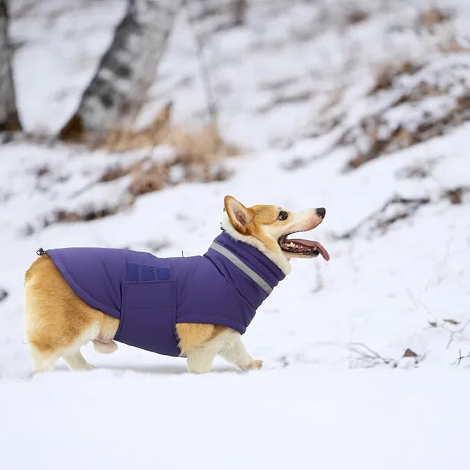 Dog Coat, Waterproof Winter Jacket, Warm Windproof Vest, Reflective Adjustable Turtleneck Coats for Large Dogs with Hook & Loop - Purple - XL