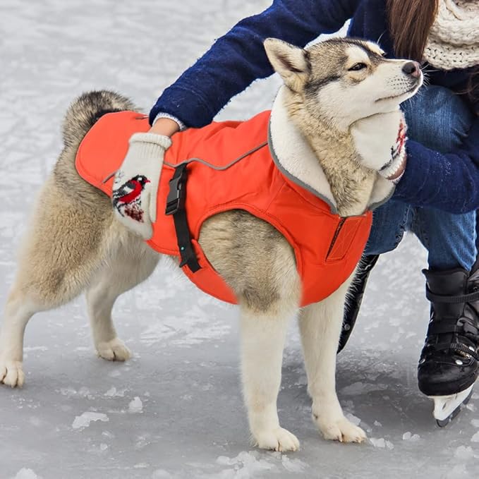 EMUST Dog Cold Weather Coats, Fleece Lining Small/Medium/Large Dog Jacket for Winter, Warm Waterproof Pet Winter Clothes for Large Dogs, Orange, XL