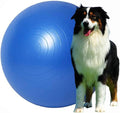 Herding Ball for Dogs:25 inch