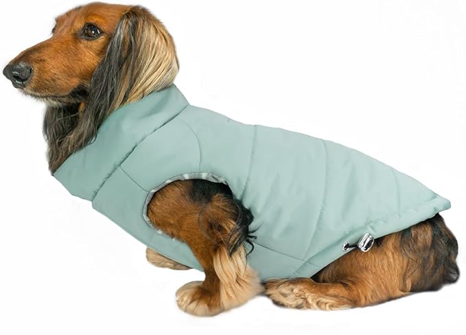 DJANGO Puffer Dog Coat – Warm Winter Dog Jacket & Water-Repellent Insulated Puffer Vest with Striped Lining, Harness Hole, Adjustable Fit for Small & Medium Dogs, Dachshunds – Sea Foam Green, Medium
