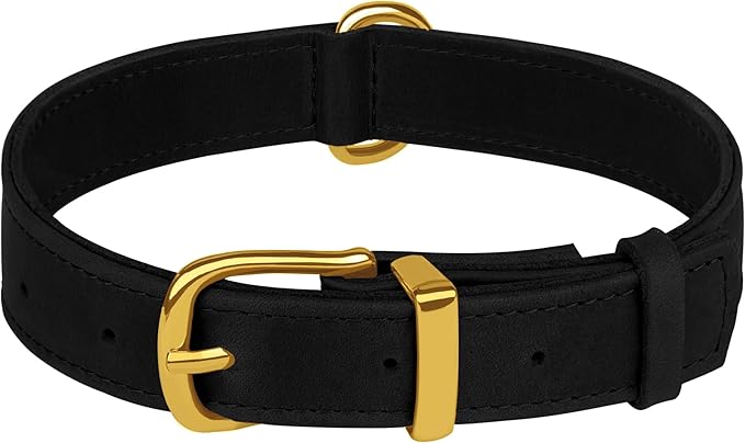 Leather Dog Collar - Heavy Duty Adjustable Soft Padded Pet Collars for Small Medium Large Dogs Breed - Black Green Brown Pink Red Blue (Black, M, 12"-15" Neck Fit)