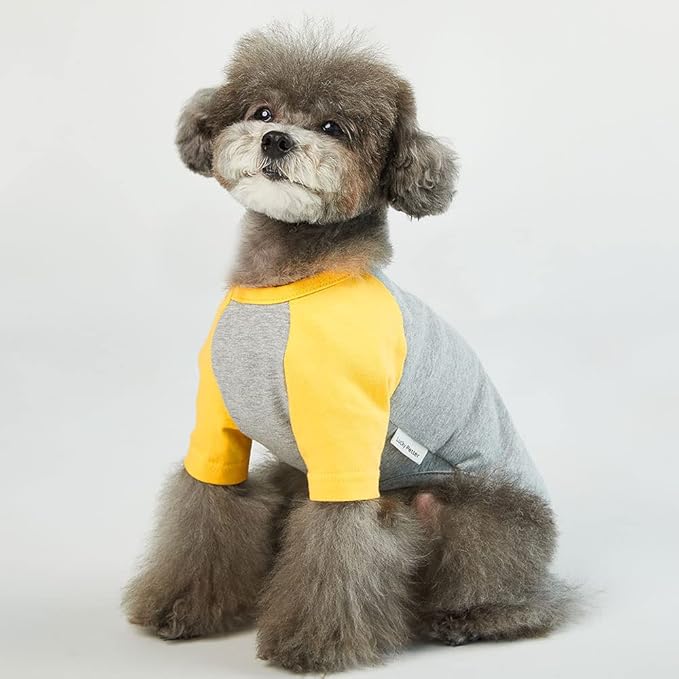 Dog Shirt for Small and Large Dogs Raglan Cotton T-Shirts Soft Breathable Dog Shirts pet Clothes Gray Series (Small, Gray/Yellow)