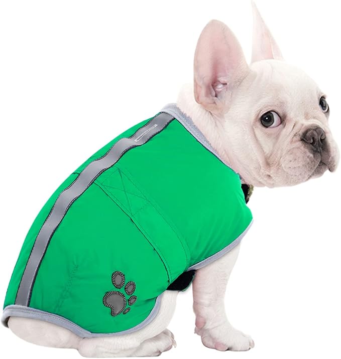 Queenmore Dog Winter Coat, Cold Weather Fleece Jacket for Dogs, Waterproof Reflective Reversible, for Small, Medium and Large Dogs (Green, L)