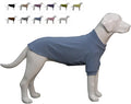 Lovelonglong Ribbed Dog T-Shirt Cotton Knitted Dog Sweaters for All Season Pet T-Shirts for Large Medium Small Dogs Grayish Blue XS