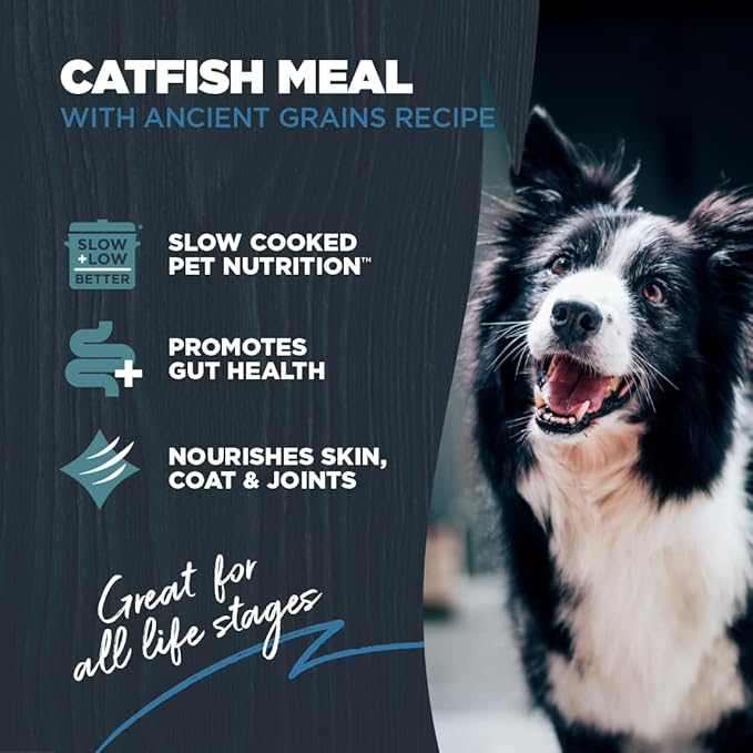 Blackwood Sensitive Skin & Stomach Dry Dog Food, Catfish Meal & Brown Rice with Ancient Grains, 24 Pound Bag with Prebiotics & Probiotics to Promote Gut Health