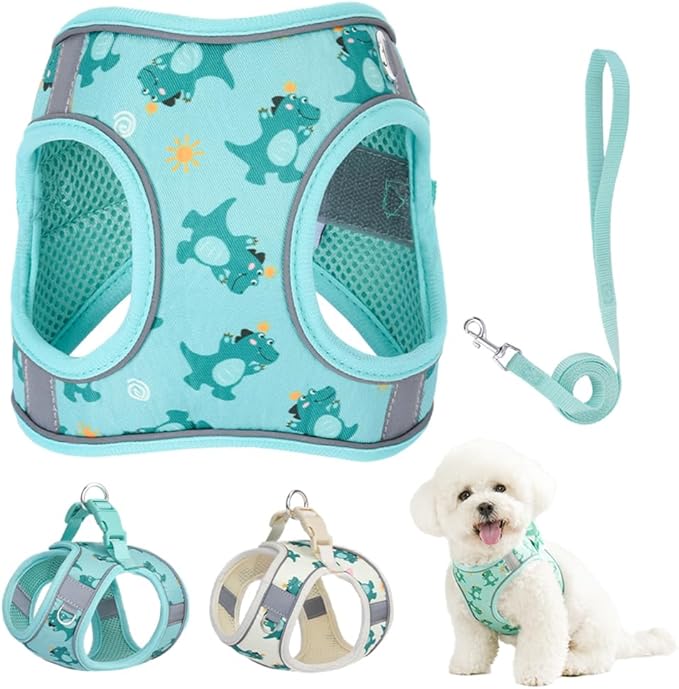 Step in Dog Harness and Leash Set, Flower Adjustable Easy Walk Puppy Harnesses, Soft Mesh No Pull Pet Vest Harness for Small Dogs and Cats(Green, XXS)