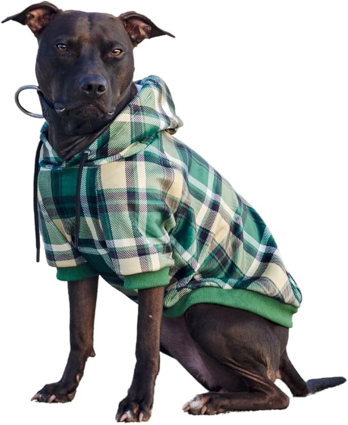 Spark Paws Dog Hoodie – Premium Dog Sweater for Small, Medium, and Large Dogs | Warm Outfits for French Bulldogs, Pitbull, Puppy, Winter Jacket Alternative - Green Plaid - 2XL