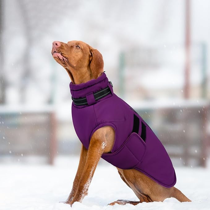 IECOii Waterproof Dog Coat for Medium Dogs, Reflective Dog Jacket with Collar Built in, Thick Fleece Dogs Coat for Winter Easy On Hook & Loop Pet Snowsuit for Hunting, Hiking, Camping, Purple - L