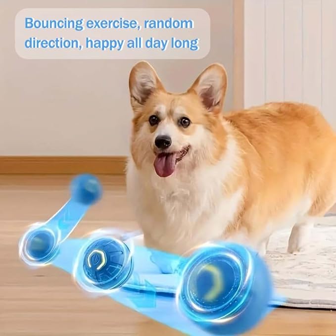 2PCS Shaky Ball for Dogs, Shaky Ball Toy for Dogs, Vibrating Dog Ball, Vibrating Ball for Dogs, Shaky Ball Moving Dog Toy, Automatic Moving Dog Toy Ball, Suitable for All Dogs (Orange+Blue)