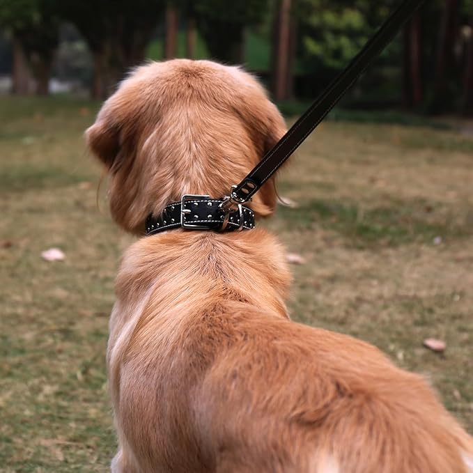 Studded Leather Dog Collar – Durable Adjustable Collar, Black Medium