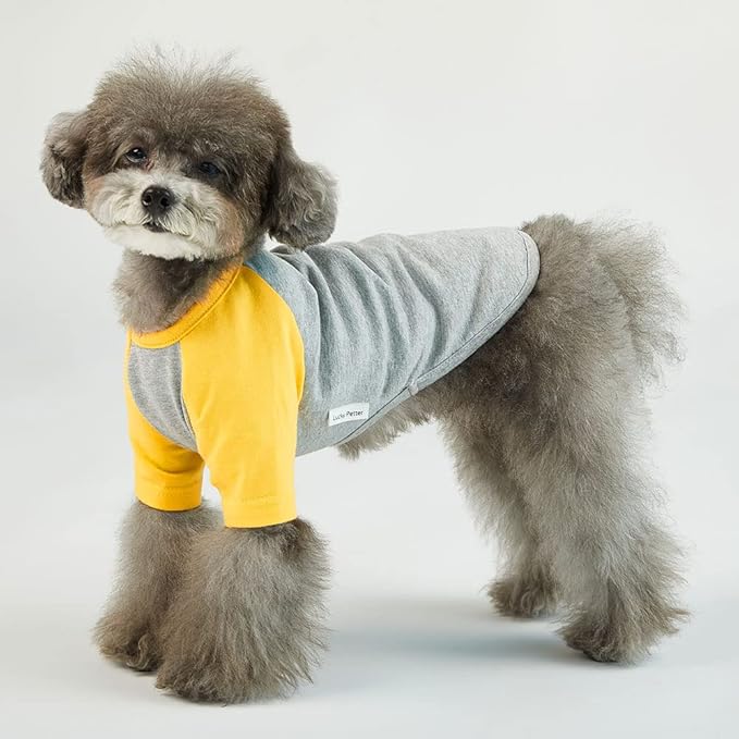 Dog Shirt for Small and Large Dogs, Soft Breathable Cotton T-Shirt, Gray/Yellow, X-Small