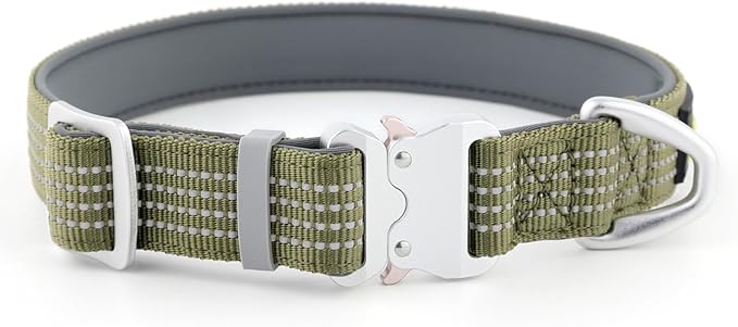 Plutus Pet Reflective Dog Collar with Aviation Aluminum Buckle, Neoprene Padded for Comfort, Lightweight, Heavy Duty Nylon Collar for Puppy Small Medium Large Dogs (Ranger Green, S)