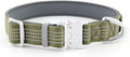 Plutus Pet Reflective Dog Collar with Aviation Aluminum Buckle, Neoprene Padded for Comfort, Lightweight, Heavy Duty Nylon Collar for Puppy Small Medium Large Dogs (Ranger Green, M)