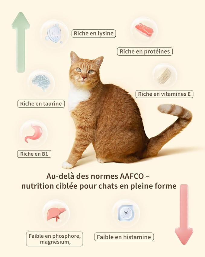 Freeze-Dried Cat Food, 97% Animal Origin Soft Dry Food for Cats Kitten, High Protein Healthy Freeze Dried Cats Raw Treat & Topper (Rabbit Recipe - 14 Ounce)