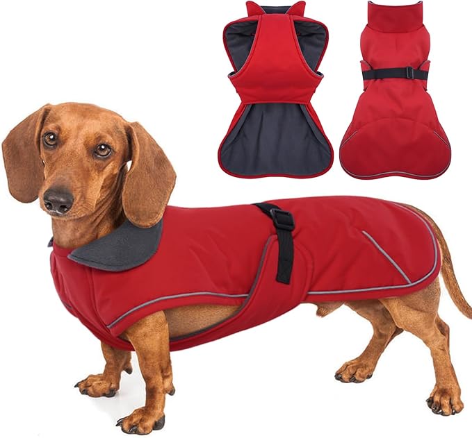 Dachshund Coat Warm Winter Dog Coat - Red, XLarge - Waterproof Dachshund Coat with Fleece Lining, Adjustable Buckle Closure Dachshund Clothes, Christmas Dachshund Snowsuit Harness Hole