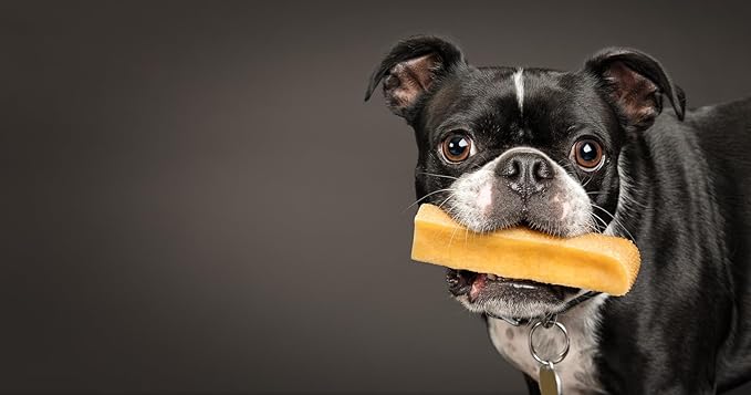 peaksNpaws Himalayan Yak Chews, High Protein Cheese Sticks, Lactose Free, Natural, Long Lasting Dog Treat for Aggressive Chewers Under 15 lbs, 20 Small Treat Sticks, 100% Eco-Friendly Packaging