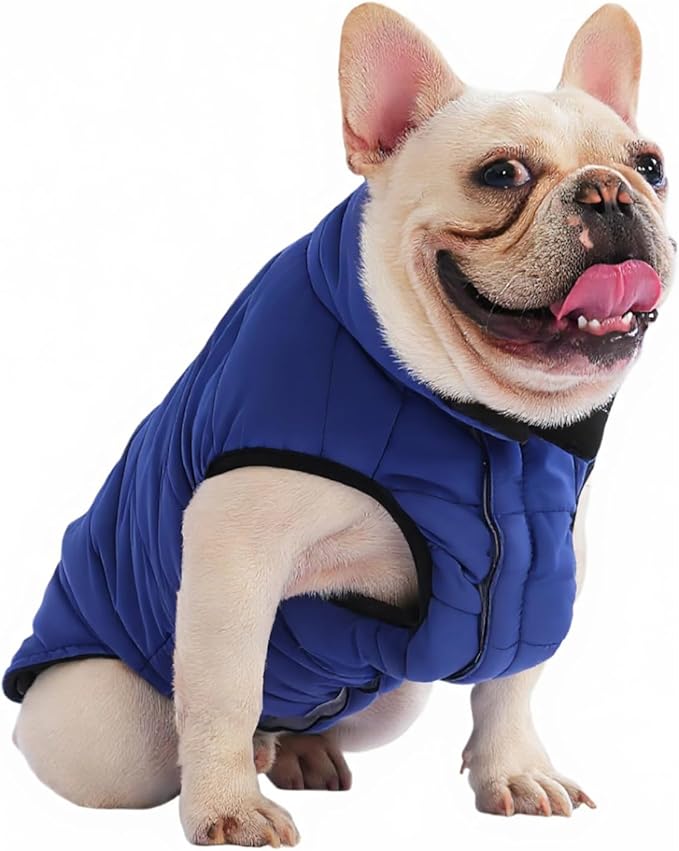 PetWarm Reversible Dog Cold Weather Coats, Waterproof Dog Puffer Vest, Vest for Dogs with Hook-and-Loop Strap, Windproof Outdoor Coat for Winter Walks and Snowy Days, Blue, M