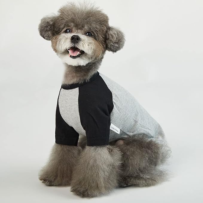 Dog Shirt for Small and Large Dogs Raglan Cotton T-Shirts Soft Breathable Dog Shirts pet Clothes Gray Series (X-Small, Gray/Black)