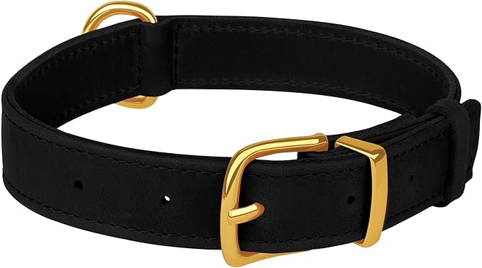 Leather Dog Collar - Heavy Duty Adjustable Soft Padded Pet Collars for Small Medium Large Dogs Breed - Black Green Brown Pink Red Blue (Black, M, 12"-15" Neck Fit)
