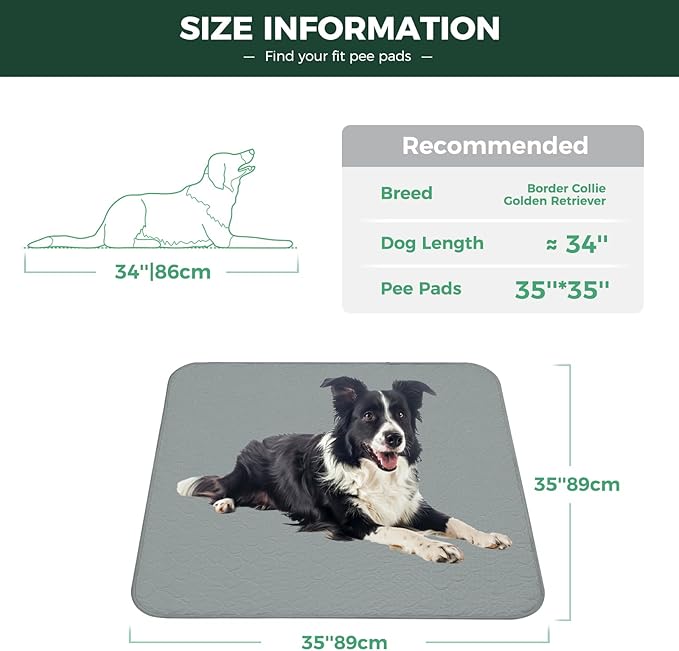 FXW Washable Pee Pads for Dogs, Puppy Pads with Super Absorbent, Specifically Designed for Potty Training, 35" Square, Gray, 4 Packs