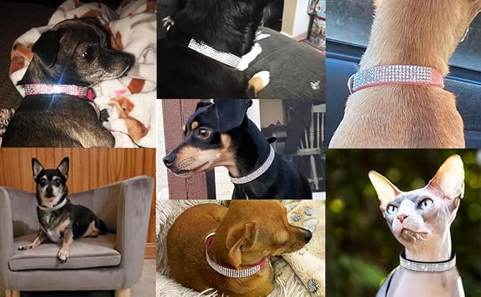 Serijoars Small Dog Collar with Rhinestone Crystal Diamond Colorful Bling Girl Puppy Cat Collars (S, Red)