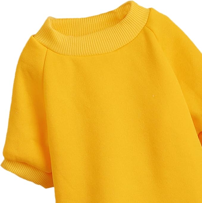 Puppy Sweater for Small Dogs Clothes Warm Winter Cat Clothe Pet Sweatshirt Knitwear Doggie Kitten Clothing, Yellow, X-Small