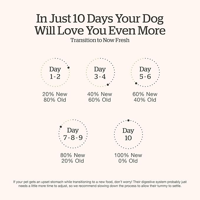 Now Fresh Grain-Free Premium Dry Dog Food with Lamb & Pork, Healthy Kibble for Adults Made with Real Red Meat, Chicken-Free Recipe, Enhanced with Pumpkin & Probiotics for Good Digestion, 22 lb Bag