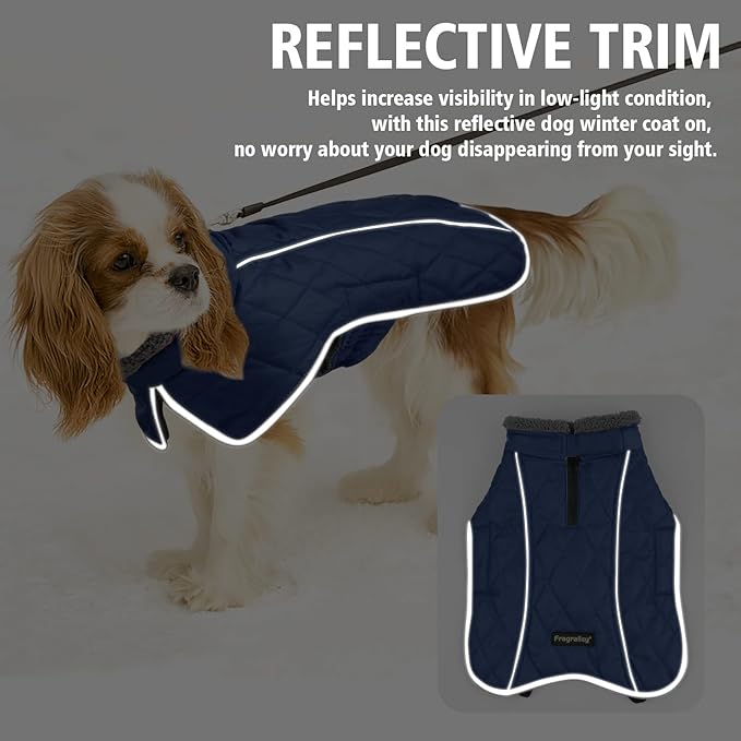 Fragralley Dog Coat Small, Waterproof Dog Jacket with Warm Fleece Lining, Adjustable Reflective Dogs Winter Coat, Turtleneck Pet Coats for Cold Weather (Blue S)