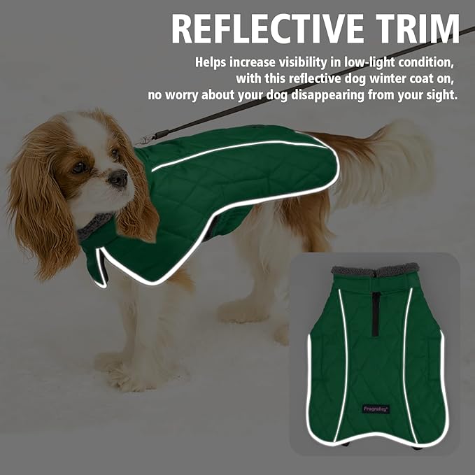 Fragralley Dog Coat Large, Waterproof Dog Jacket with Warm Fleece Lining, Adjustable Reflective Dogs Winter Coat, Turtleneck Pet Coats for Cold Weather (Green L)