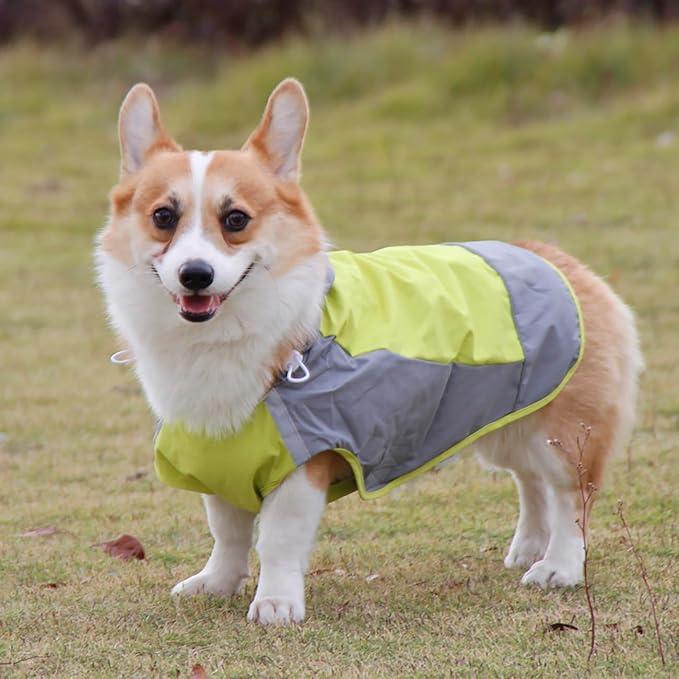 Dogs Packable Lightweight Raincoat: Pet Dog Hood Waterproof Coats Green Size 10