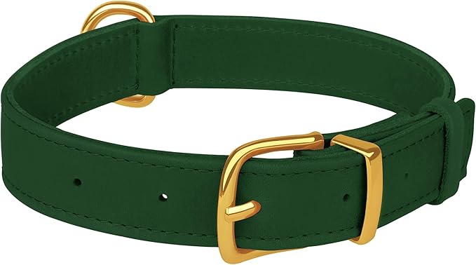 Leather Dog Collar - Heavy Duty Adjustable Soft Padded Pet Collars for Small Medium Large Dogs Breed - Black Green Brown Pink Red Blue (Green, M, 12"-15" Neck Fit)